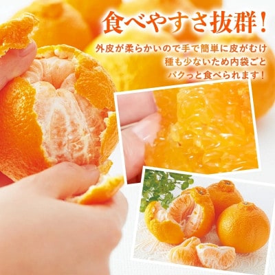 のま果樹園のデコタンゴール(3kg)[K003680K3]【1721909】