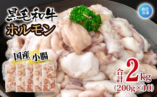 黒毛和牛ホルモン 2kg 小分け200g×10  小腸 国産牛肉 焼肉 焼き肉 もつ 真空パック＜58-69a＞