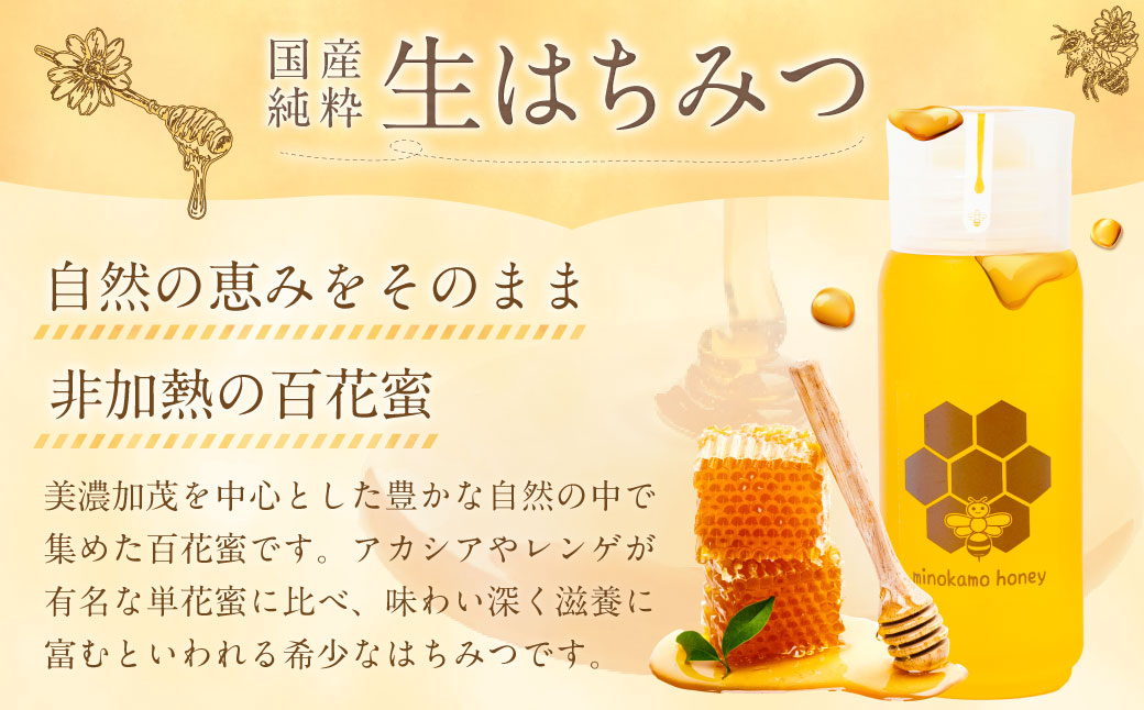 MINOKAMO HONEY はちみつ （ 200g × 3本 ）| 藤井養蜂 蜂蜜 非加熱 百花蜜 国産 たれにくい M15S48