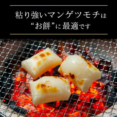 ふるさと納税 城里町 もち米　精米　2kg  マンゲツモチ |  | 02