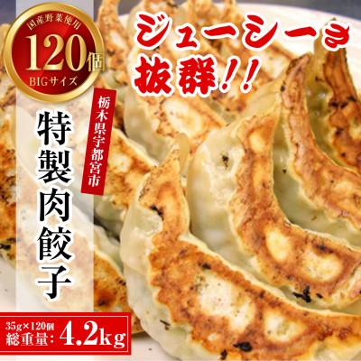 ふるさと納税 宇都宮市 餃子専門店 宇都宮悟空　特製肉餃子120個入
