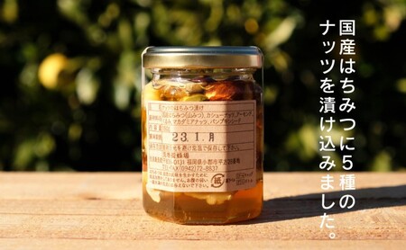 はちみつ 国産 天然 純はちみつ ナッツ＆ハニー 150g×2本 ハチミツ 蜂蜜 ハニーベル 