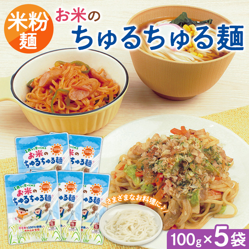 【米粉麺】お米のちゅるちゅる麺 100g×5袋 FY26-112