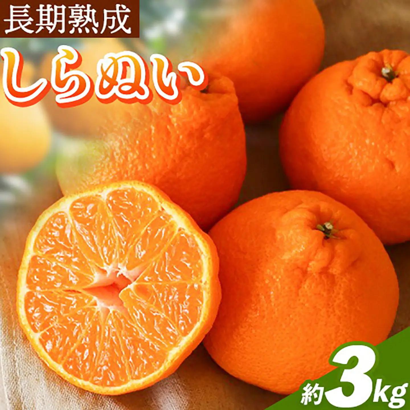 長期熟成 しらぬい 約3kg (9-18個) 不知火