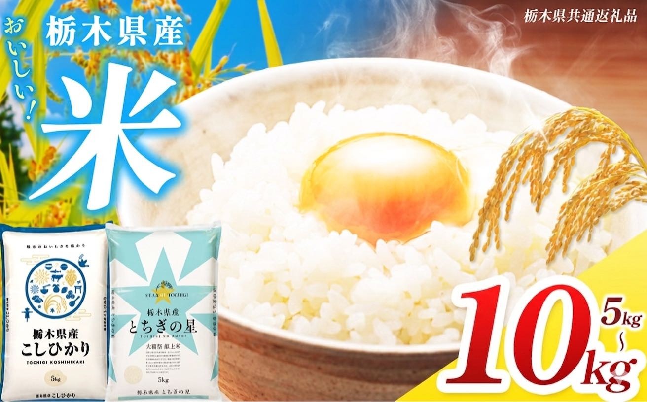 
                  【栃木県共通返礼品】令和7年度産 米 定期便 選べる 訳あり食べ比べ 内容量 5kg 10kg  栃木県産 コシヒカリ とちぎの星 | 栃木県共通返礼品 お米 精米 白米 大粒 小粒 okome kome ご飯 飯 こめ コメ 那珂川町 送料無料
                