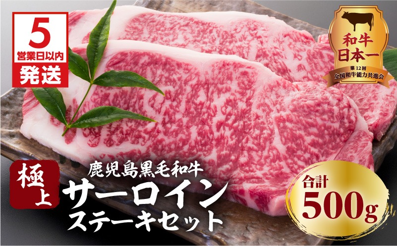 【5営業日以内に発送】鹿児島黒毛和牛の極上サーロインステーキセット 500g　K134-003