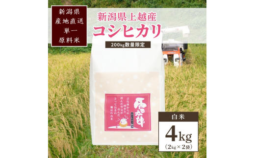【数量限定】 令和7年/新潟上越産「標高480mの山間地で育てた棚田米コシヒカリ」精米4kg [№5361-0385]