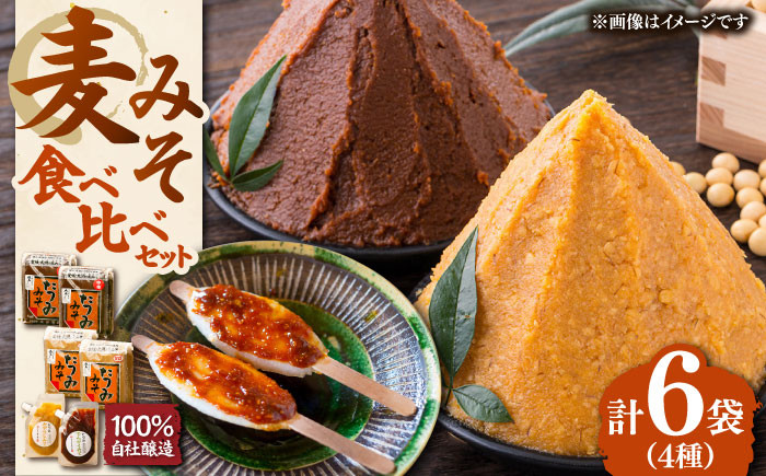 
            【年内発送】本物の味を毎日の食卓へ！たつみ 麦みそ４種食べ比べセット 醤油 しょうゆ 味噌 みそ 調味料 愛媛県大洲市/株式会社梶田商店 [AGBB011] お正月 クリスマス
          