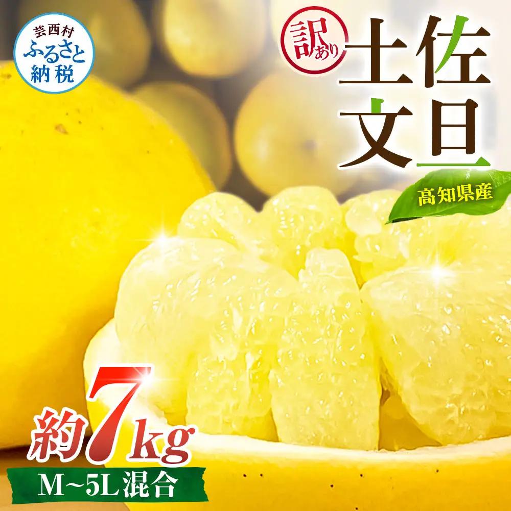 先行予約 訳あり 土佐文旦 家庭用 約7kg 約10～22玉 M～5L混合サイズ 高知県産