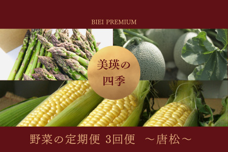 【令和８年産予約受付！】令和8年産 美瑛の四季 野菜 定期便【唐松】3回便 | アスパラ メロン とうもろこし 送料無料 セット 人気 おすすめ ランキング 野菜 3か月 3回便 3回[052-12]