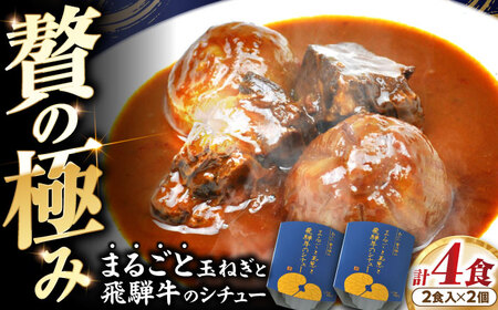 -あふひ 贅の極み- まるごと玉葱と飛騨牛のシチュー 2人前×2個セット / 恵那市 / テンポイント [AUEU005]