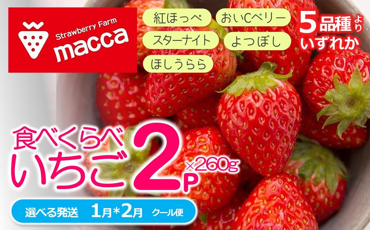 「ひょうご推奨ブランド」認証「西脇市産いちご食べくらべセット」（1箱2パック）～いちご畑macca～（06-39）