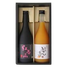 和歌山の贅沢梅酒ギフトセット(紅南高・完熟みかん梅酒)