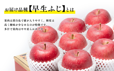【全国ふじコンテスト最高賞受賞・青森りんご・平川市広船産・9月・10月・11月発送】9～10月 親子三代最高位の早生ふじ約5kg