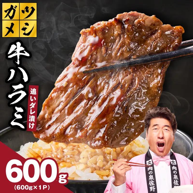 ガツめし牛ハラミ 600g 追いダレ漬け