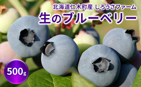 [先行受付] 北海道 仁木町産 有機栽培ブルーベリー 500g（サイズ混合） 果物 くだもの フルーツ 果実 生ブルーベリー 国産 国産ブルーベリー 日本産 [しろうさファーム]