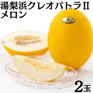 メロン 2玉 クレオパトラ 2 湯梨浜 | 20M
