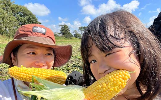 朝もぎ直送｜北海道江別産AmbitiousFarm　極甘スイートコーン　"恵味ゴールド"　3箱（18本）【2026年7月下旬より発送開始】 EB8-0156