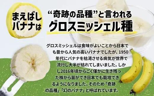 バナナ 紙箱入り 約10本 1.2kg 国産バナナ 贈答