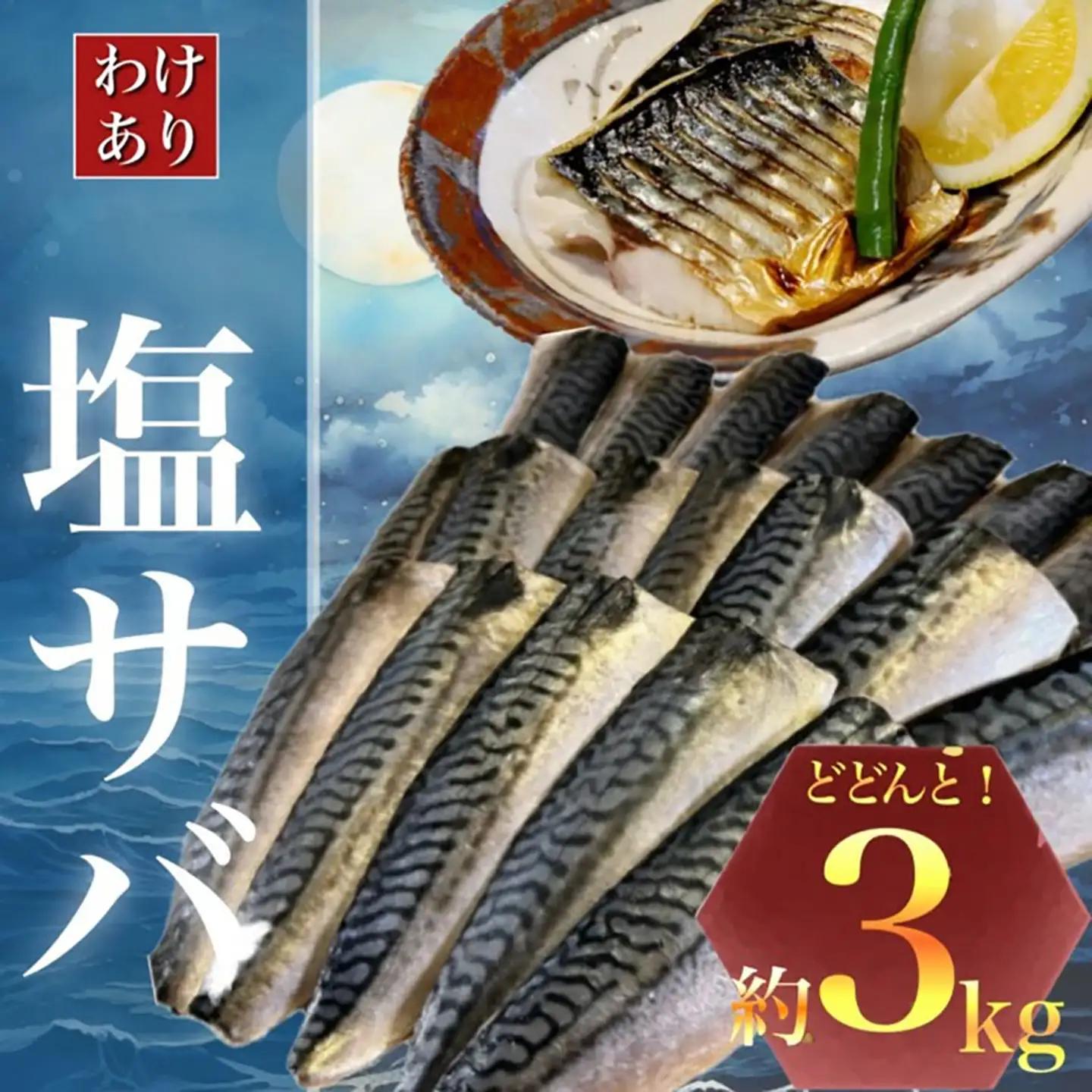 訳あり 塩サバ 3kg さば 西川