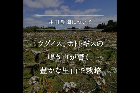 鳥取県南部町産　井田農園のあたご[梨]（3kg箱）＜11月～出荷開始＞　氷温保存