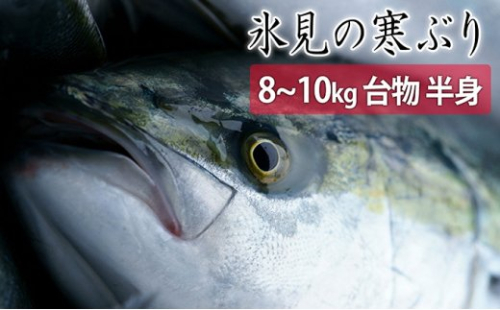 【先行予約】【期間限定】＜半身＞氷見の寒ぶり　8～10kg台物 真空パック【ひみ水産】※配送エリア限定※