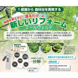 住む人を健康にする「抗酸化リフォーム」　10万円券