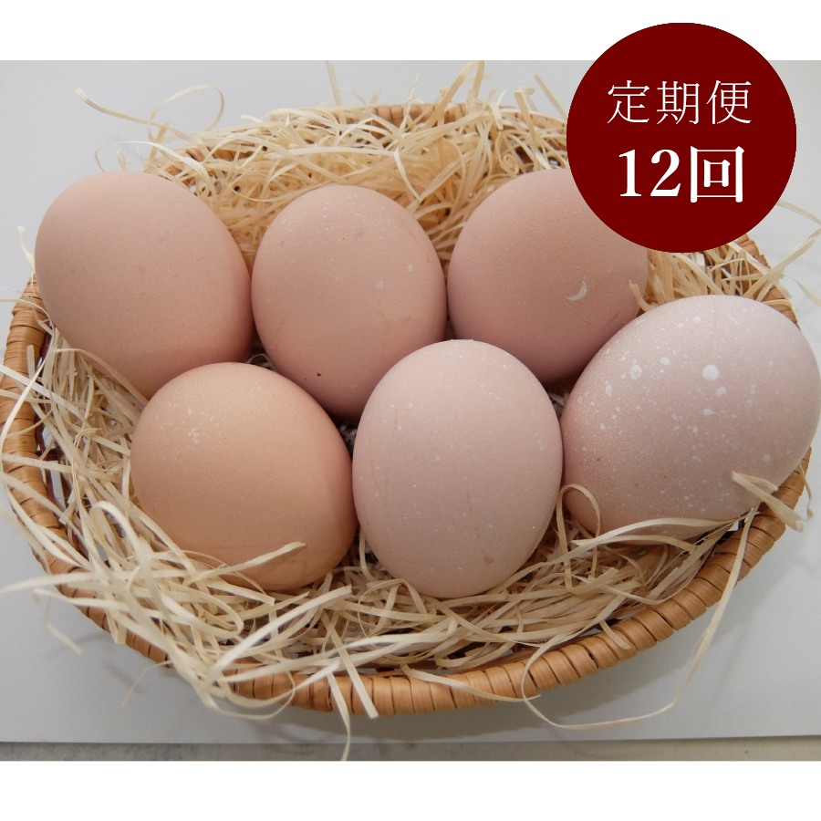 ＜山田養鶏＞「名古屋コーチン卵」30個【12ヵ月定期便】