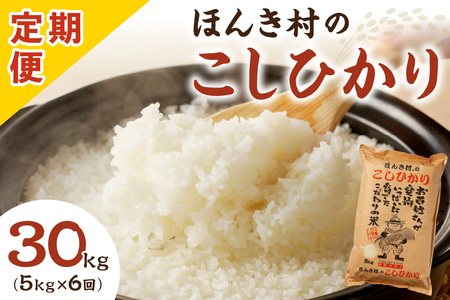 【令和7年産】【定期便】ほんき村のこしひかり 30kg（5kg×6回コース）産直米 特産 お米 精米 白米 玄米 ごはん ご飯 コメ 新米 30キロ 30kg 【197_1953】