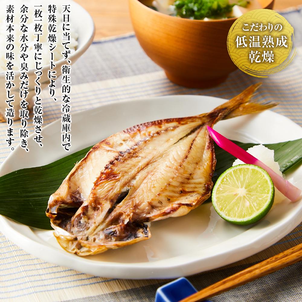 博多製造 九州産 真あじ 一夜干し