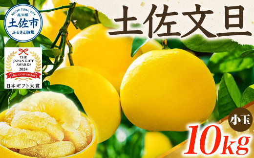 【先行予約】【日本ギフト大賞2024受賞】 園主こだわりの土佐文旦 約10kg 小玉（L～Mサイズ） 文旦 ぶんたん 土佐 柑橘 国産 フルーツ お取り寄せ ギフト 先行予約 高知県 土佐市【やの一果彩】[BQAC018]