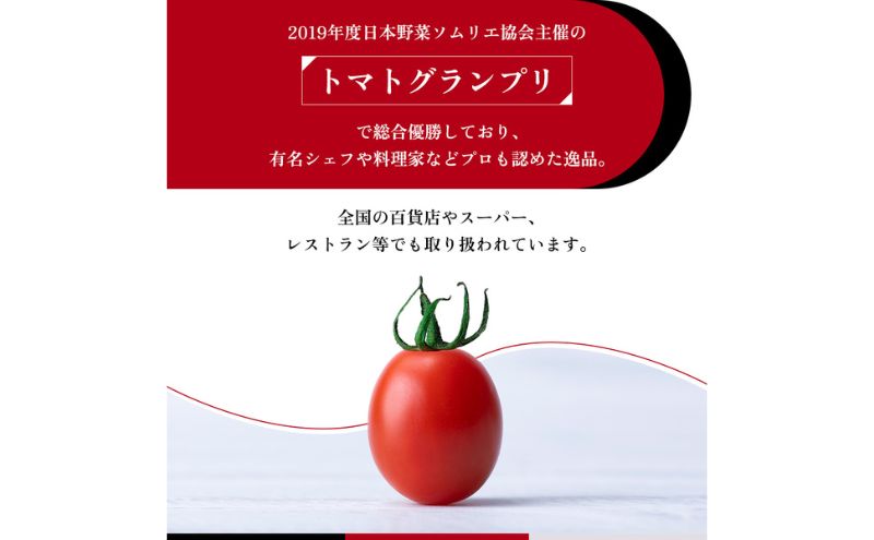 トマトグランプリ優勝 OSMIC トマト 500g Premium フルーツトマ