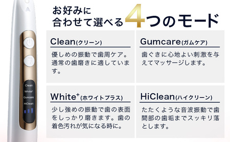 電動歯ブラシ 音波振動歯ブラシ IONPA home DP-121 パールホワイト 《30日以内に出荷予定(土日祝除く)》 本体 イオン USB 充電 ionic アイオニック 電動 歯ブラシ はみが
