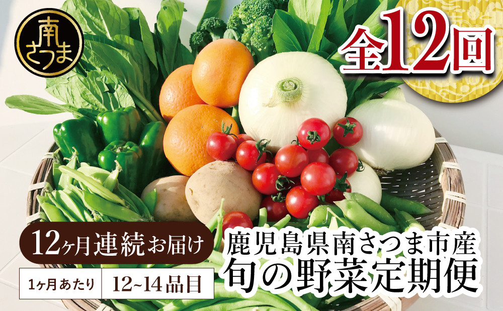 
【かごしま野菜の定期便（全12回）】旬鮮野菜と果物のセット（12～14品目） 野菜 お野菜 九州 野菜BOX 旬 セット 詰合せ 定期便 JA鹿児島県経済連 南さつま市
