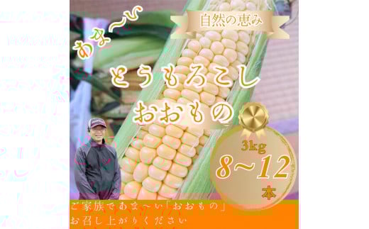 
            とうもろこし おおもの 約3kg(8～12本)
          