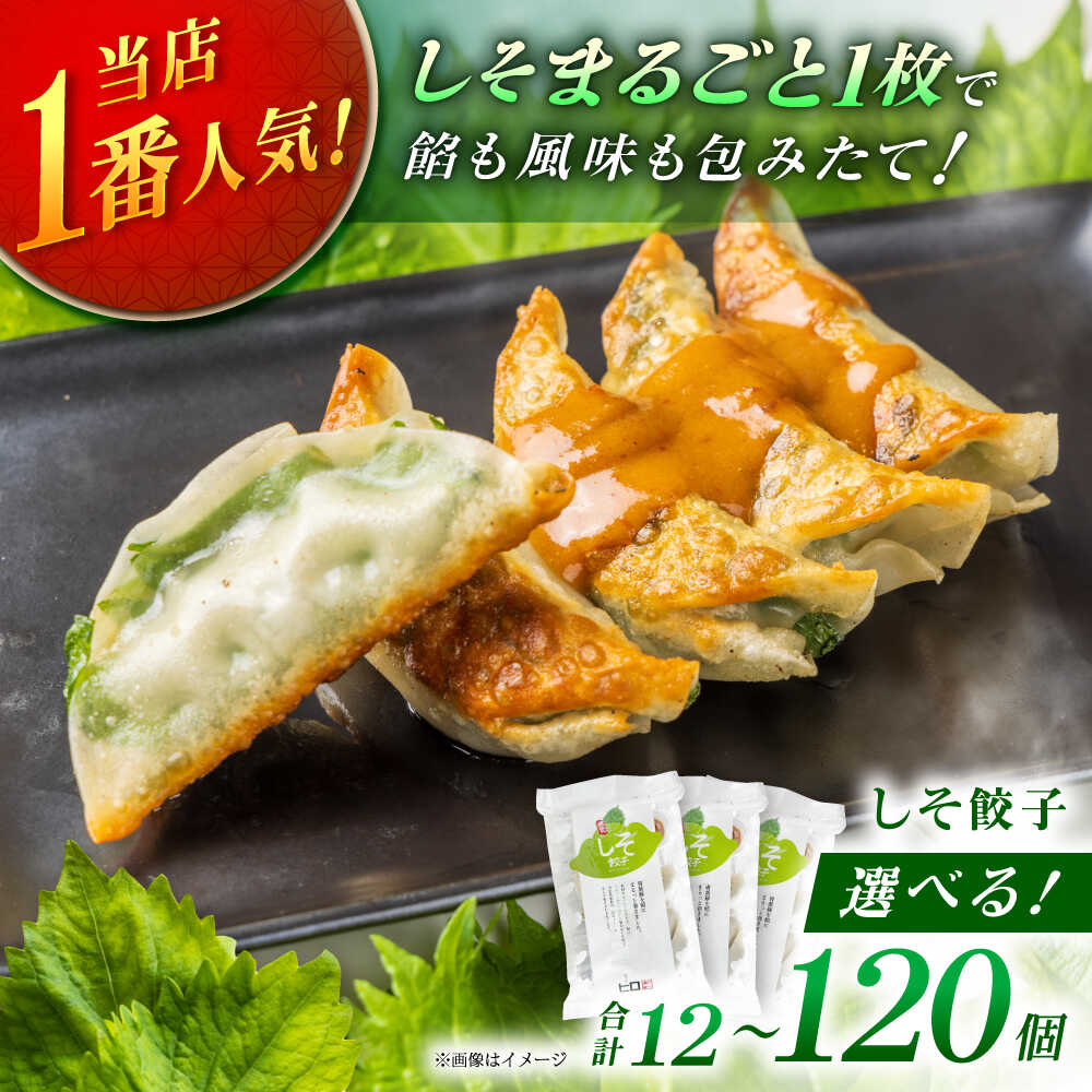【ふるさと納税】【選べるパック数！】餃子屋ヒロの 人気のしそ餃子 12～120個【餃子屋ヒロ】家製 パリもち ぎょうざ 焼き餃子 薄皮 神奈川県開成町 国産素材 餃子 ギョーザ 点心 惣菜 冷凍 [BDAS003]