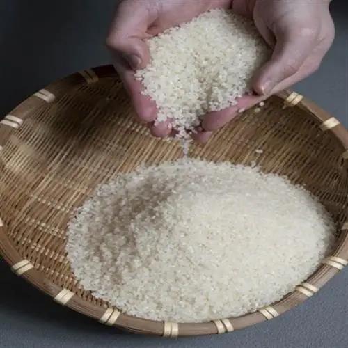 令和8年 北海道深川産 ふっくりんこ 5kg×1袋【1741829】