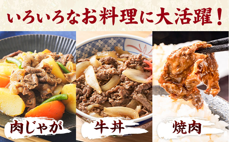 黒毛和牛 切り落とし 約1kg 500g×2パック 牛肉 《90日以内に出荷予定(土日祝除く)》