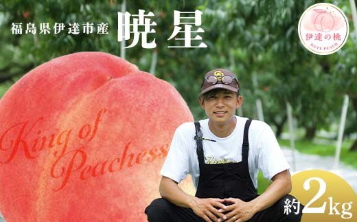 
                  【2026年出荷分先行予約】福島県産 暁星 約2kg (6～8玉) KING OF PEACHESS キングオブピーチ ぎょうせい 伊達の桃 桃 フルーツ 果物 もも モモ momo F21C-139
                