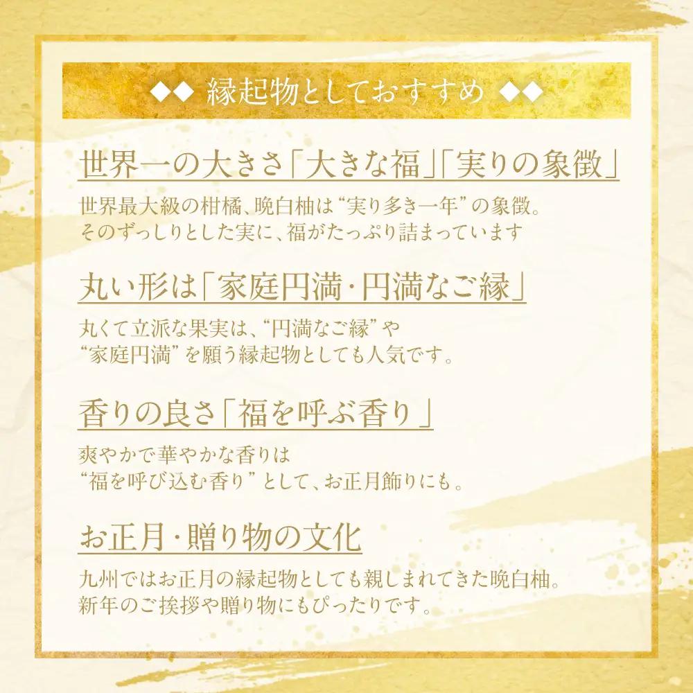 ばんぺいゆ 【先行予約】《年内最終日までお届け》やつしろ縁起物セット（晩白柚1玉込み） ばんぺいゆ みかん い草 【2026年12月中旬より順次発送】
