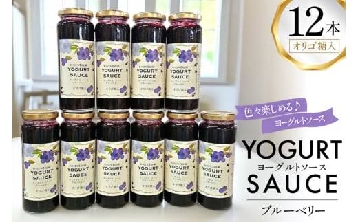 ヨーグルト ソース ブルーベリー 12本 セット [たかはた果樹園 山形県 高畠町 tk06ays650020] 詰め合わせ フルーツ ブルーベリー