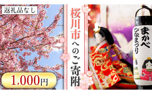 
【返礼品なし】桜川市へのご寄附1,000円[BR004sa]
