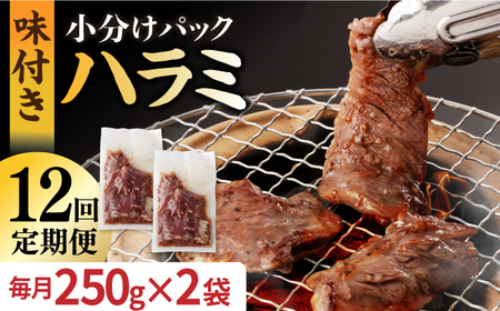 【12回定期便】【塩だれ】九州産和牛ハラミ 毎月250g×2袋（計6kg）長与町/岩永ホルモン [EAX161] 国産 焼肉 小分け サガリ 味付き
