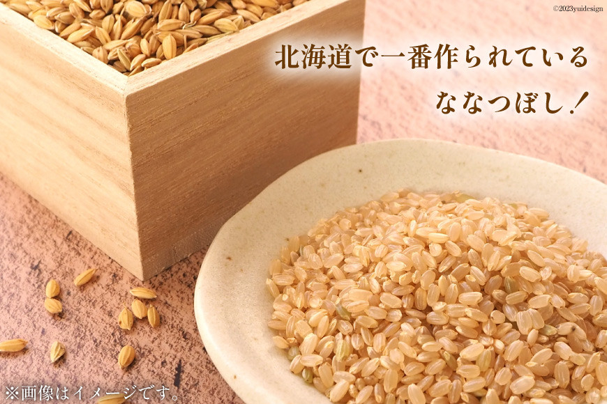 玄米 ななつぼし 5kg×2 計10kg [けんぶちVIVAマルシェ 北海道 剣淵町 14656298]  お米 コメ ごはん ご飯 北海道米 国産