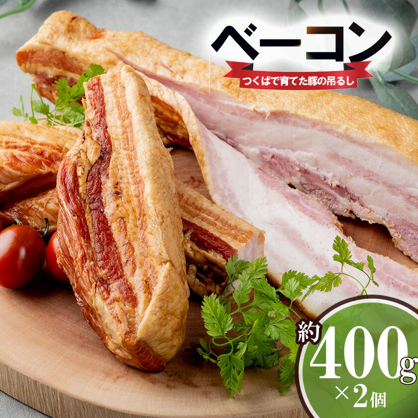 【ふるさと納税】吊るしベーコン 2個セット（約400g×2 計約800g） つくばで育てた豚 | 茨城県 つくば市 豚肉 おつまみ 肉 加工品 ハム 冷蔵 セット ベーコン 燻製 スモーク