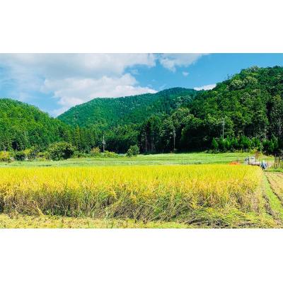 ふるさと納税 京都市 【京都岩倉坂原米作りプロジェクト】京都さかばら 角質ケアハンドクリーム(60g×1本)|美容 コスメ |  | 01