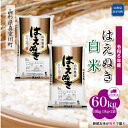 【ふるさと納税】 令和6年産 真室川町厳選 はえぬき ＜白米＞ 60kg 定期便（10kg×6回お届け）