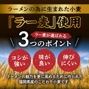 【福岡県産ラー麦使用】背徳の極み！背脂入りニンニク醤油ラーメン（2食） PC7706