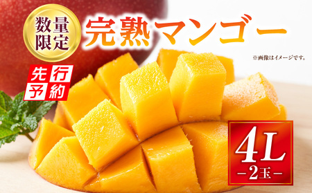《2025年発送》【期間・数量限定】完熟マンゴー 4Lサイズ 2玉　完熟 甘味 南国