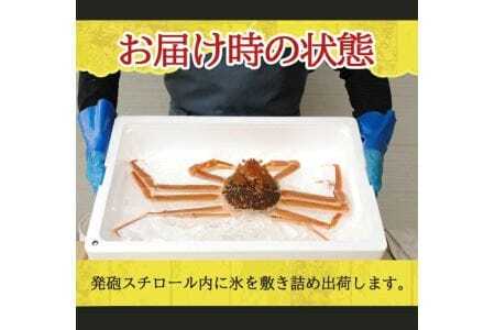 944　遊佐沖　春の生・本ズワイガニ 1匹 700g程度